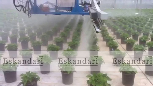 از بین بردن حشرات موذی با مهپاش در گلخانه